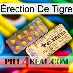 Érection De Tigre new06